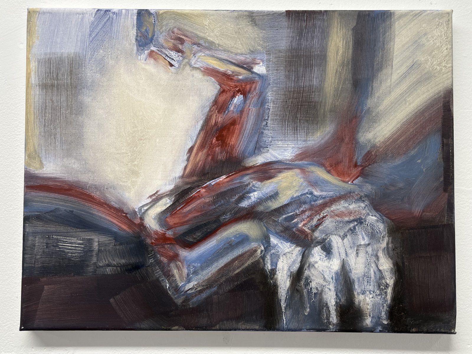 Medical Negligence by Maeve Holmes