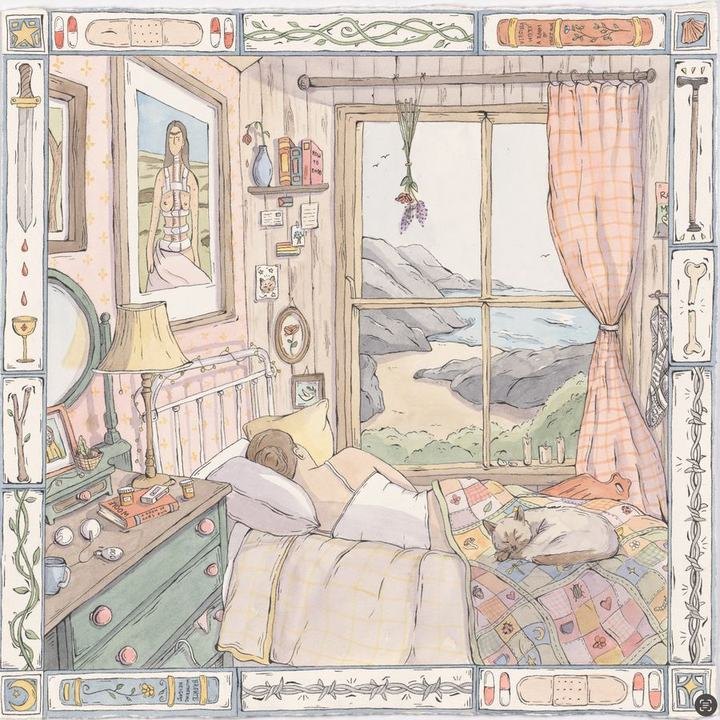 Windows by Poppy Fowler